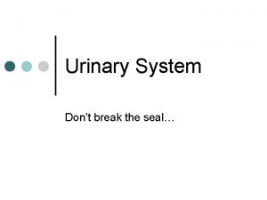 Urinary System Dont break the seal Function Removes