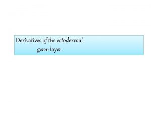 Derivatives of the ectodermal germ layer Development of