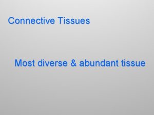 Connective Tissues Most diverse abundant tissue Main Role