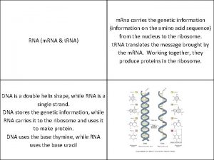 RNA m RNA t RNA DNA is a