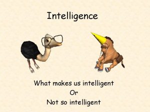 Intelligence What makes us intelligent Or Not so