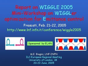 Report on WIGGLE 2005 MiniWorkshop on WIGGLer optimization