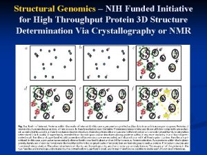 Structural Genomics NIH Funded Initiative for High Throughput