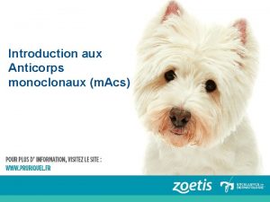 Introduction aux Anticorps monoclonaux m Acs Anticorps Protines