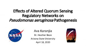 Effects of Altered Quorum Sensing Regulatory Networks on