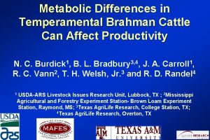 Metabolic Differences in Temperamental Brahman Cattle Can Affect