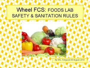 Wheel FCS FOODS LAB SAFETY SANITATION RULES By