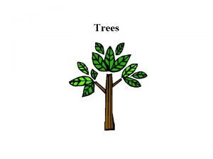 Trees Family Tree Tree Definition A tree is