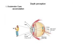 Depth perception I Oculomotor Cues accomodation Depth perception