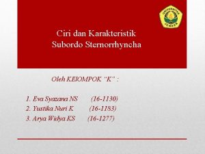 Ciri dan Karakteristik Subordo Sternorrhyncha Oleh KEl OMPOK