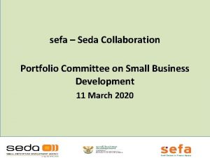 sefa Seda Collaboration Portfolio Committee on Small Business