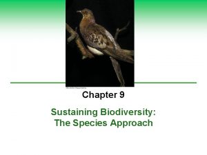Chapter 9 Sustaining Biodiversity The Species Approach What