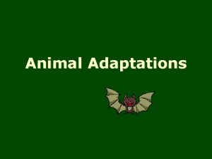 Animal Adaptations Types of Adaptation Anything that helps
