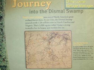 Chris Lowie Great Dismal Swamp National Wildlife Refuge