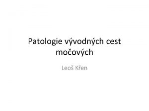 Patologie vvodnch cest moovch Leo Ken Malformace Zpravidla