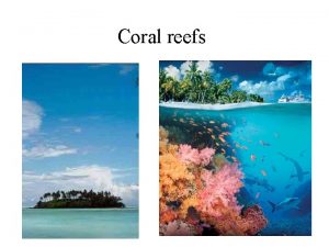 Coral reefs Coral reefs One of the most