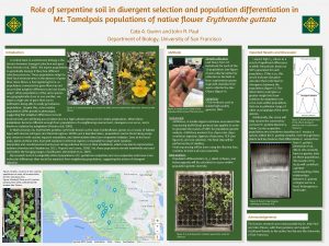 Role of serpentine soil in divergent selection and