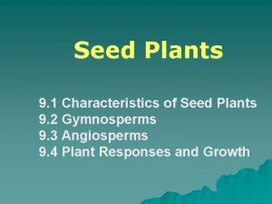 Seed Plants 9 1 Characteristics of Seed Plants