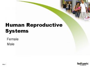 Human Reproductive Systems Female Male Slide 1 Female