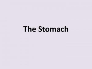 The Stomach G Stomach a J shaped b