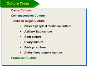Culture Types Callus Culture Cellsuspension Culture Tissue or