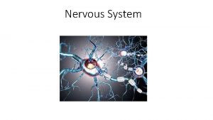 Nervous System Nervous System Structures Three main parts