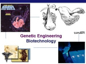 Genetic Engineering Biotechnology We have been manipulating DNA