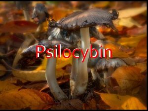 Psilocybin What is psilocybin Psilocybin is a hallucinogenic