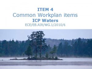 ITEM 4 Common Workplan items ICP Waters ECEEB