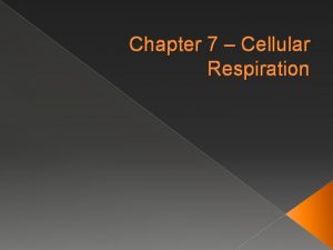 Chapter 7 Cellular Respiration Cellular Respiration process in