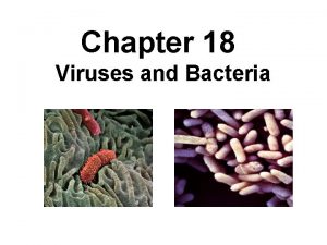 13 1 Ecologists Study Relationships Chapter 18 Viruses