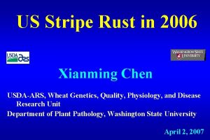 US Stripe Rust in 2006 Xianming Chen USDAARS