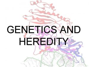 GENETICS AND HEREDITY PATTERNS OF INHERITANCE Codominance Incomplete