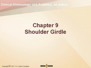 Clinical Kinesiology and Anatomy 5 th Edition Chapter