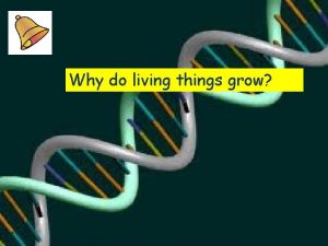 Why do living things grow Cell division occurs