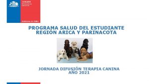 PROGRAMA SALUD DEL ESTUDIANTE REGIN ARICA Y PARINACOTA