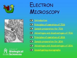 ELECTRON MICROSCOPY Introduction Principles of operation of TEM