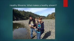 Healthy Streams What makes a healthy stream Scientists