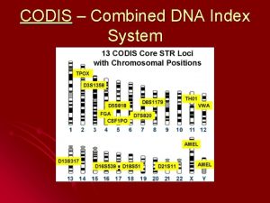 CODIS Combined DNA Index System CODIS STRs and