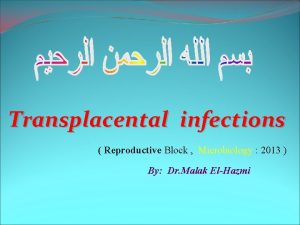 Transplacental infections Reproductive Block Microbiology 2013 By Dr