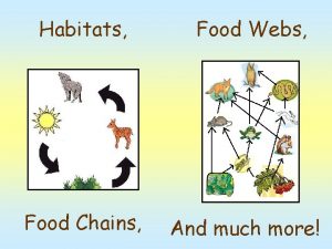 Habitats Food Chains Food Webs And much more