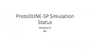 Proto DUNESP Simulation Status Wenqiang Gu BNL 1