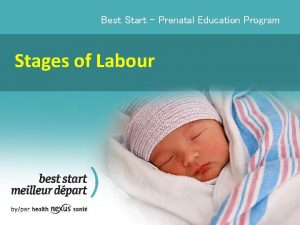 Best Start Prenatal Education Program Stages of Labour