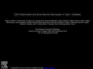 CNS Inflammation and Bone Marrow Neuropathy in Type
