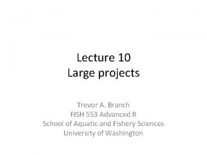 Lecture 10 Large projects Trevor A Branch FISH