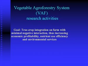 Vegetable Agroforestry System VAF research activities Goal Treecrop