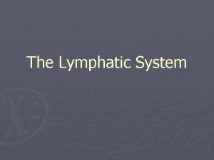 The Lymphatic System The Lymphatic System Consists of