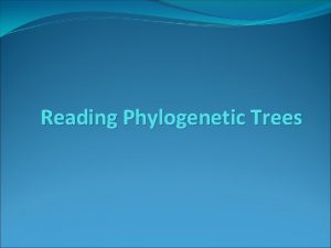 Reading Phylogenetic Trees Reading phylogenetic trees A quick