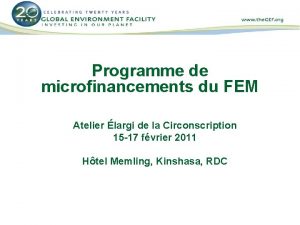 Programme de microfinancements du FEM Atelier largi de