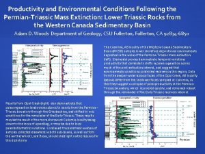 Productivity and Environmental Conditions Following the PermianTriassic Mass